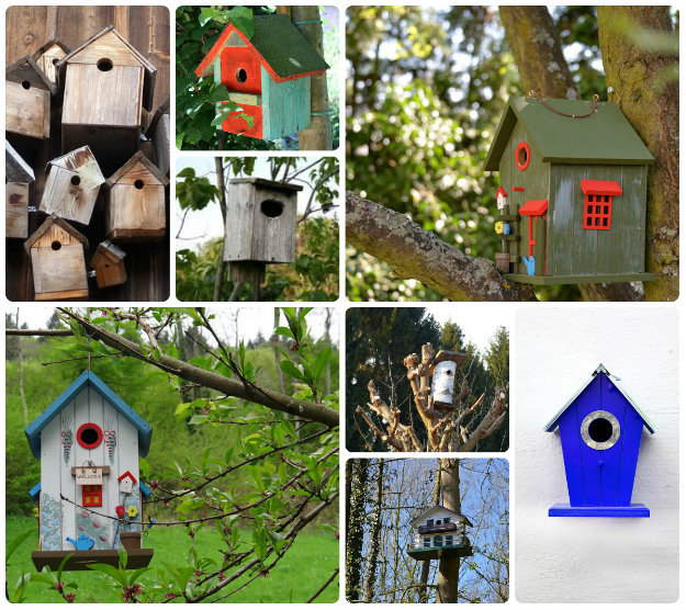 A nest box that looks like a fancy house